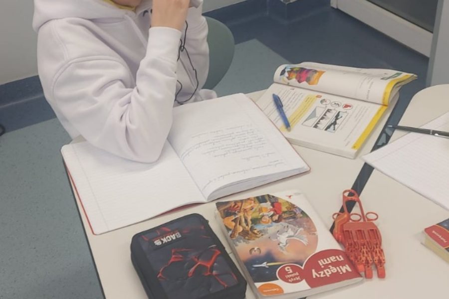 Z lornetką przez literackie krajobrazy