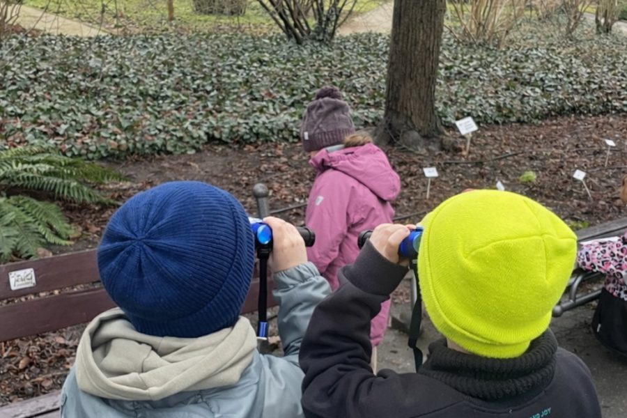 Gra terenowa w ogrodzie botanicznym